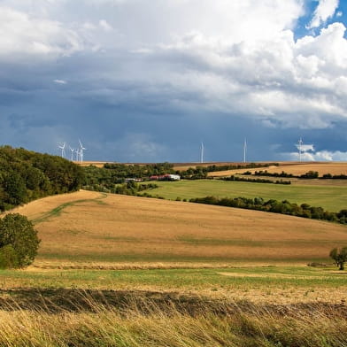 Les Sources de l'Ouanne