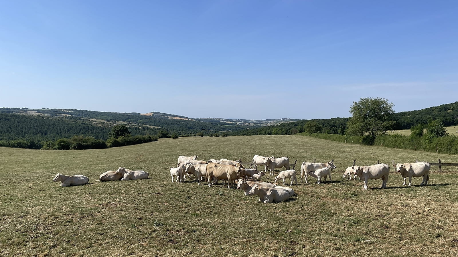 Le chemin des Celtes