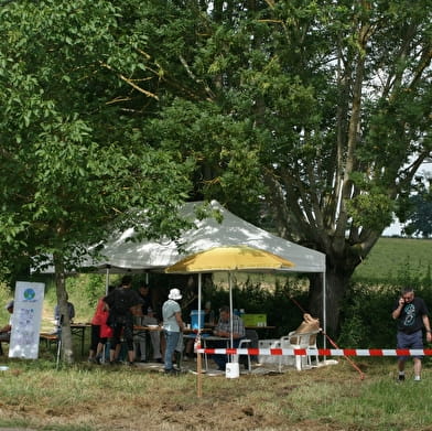 La Marche du Pavé Charolais