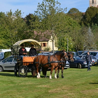 Fête de l'automne