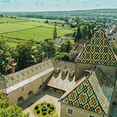 Château Philippe le Hardi - Visite dégustation 'Fons Boni & Sani'