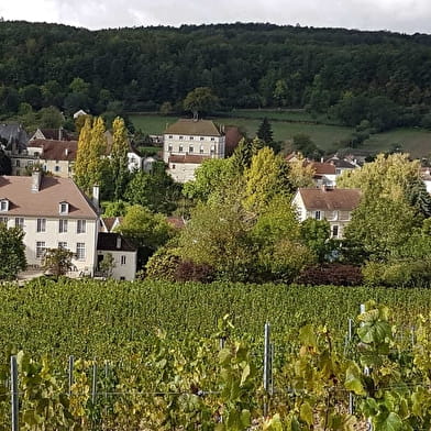 Château de Tavannes