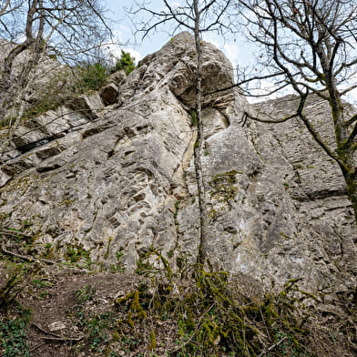 Site d'escalade - Saint-Denis-de-Vaux