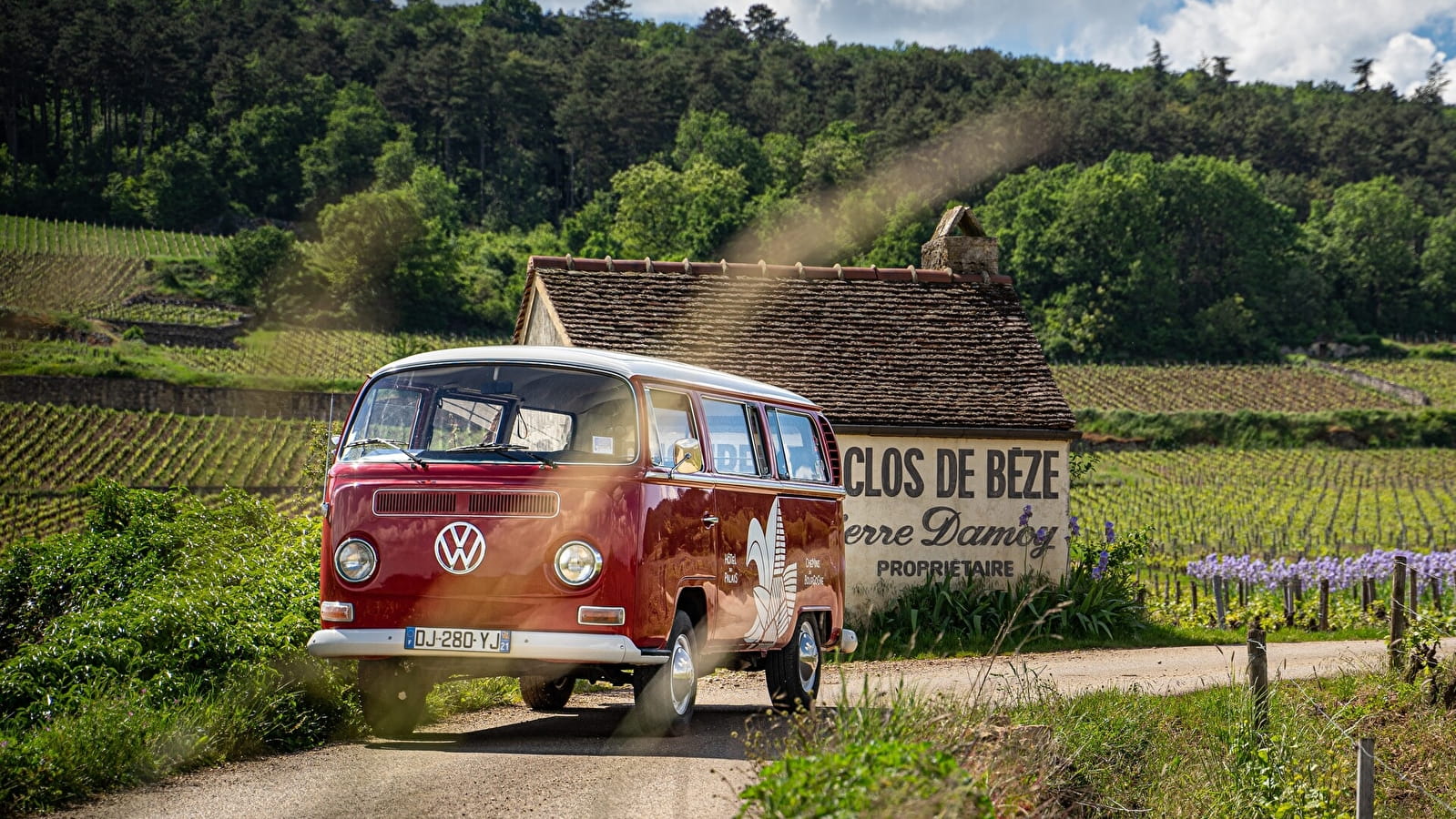 Chemins de Bourgogne - Circuit dans la Côte de Nuits, en Combi - Après-midi