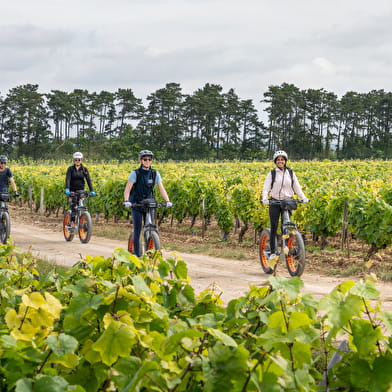 Balade en  E-TROTT à Saint-Bris-Le-Vineux - Vignobles et Panorama