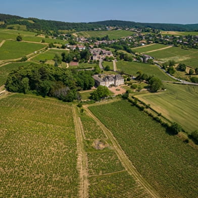 Van de leugen tot de steengroeven van Solitude - La Roche-Vineuse