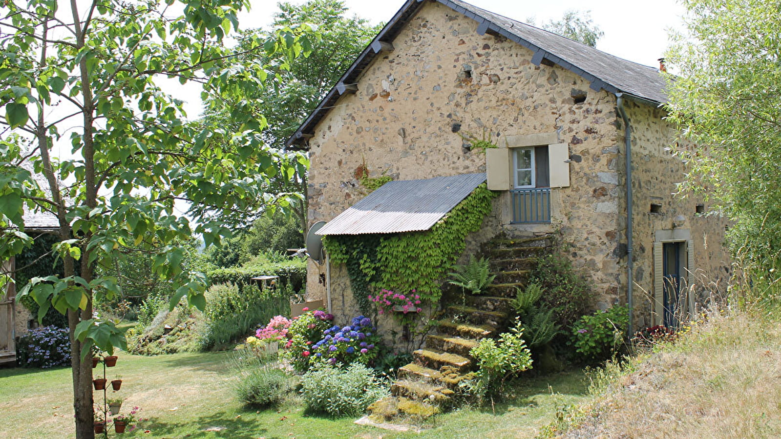 Domaine de sanglier