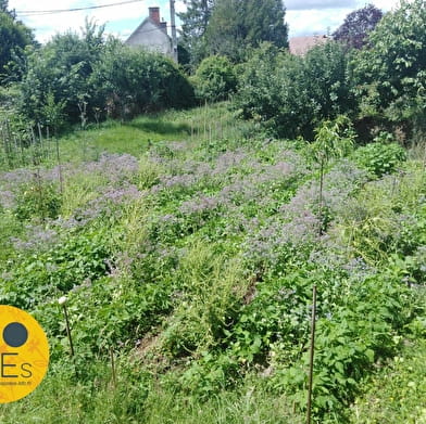 Partage de connaissance en autosuffisance énergétique et alimentaire 