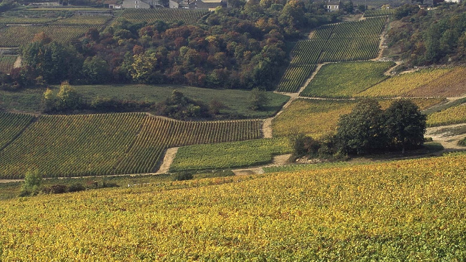 OeNolay tour - Cœur des Hautes Côtes de Beaune