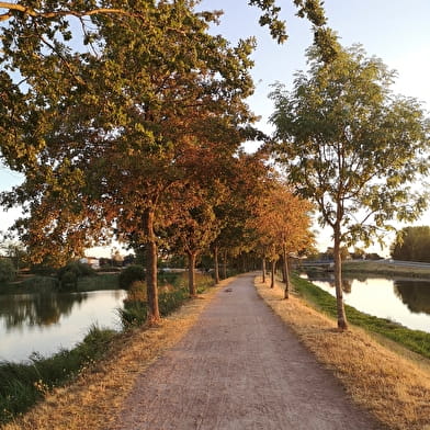 Les berges de l'étang 