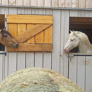 Les écuries de la Gachenotte