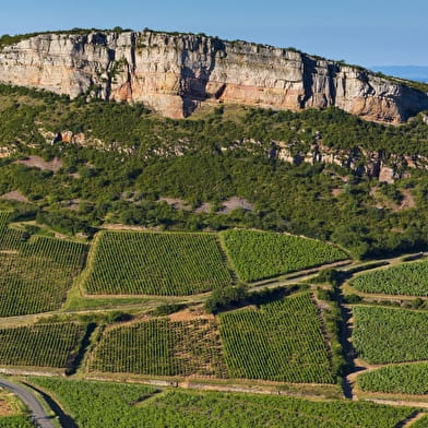 Les confidences de la Roche de Vergisson