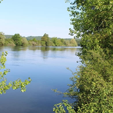 les Bords de Loire