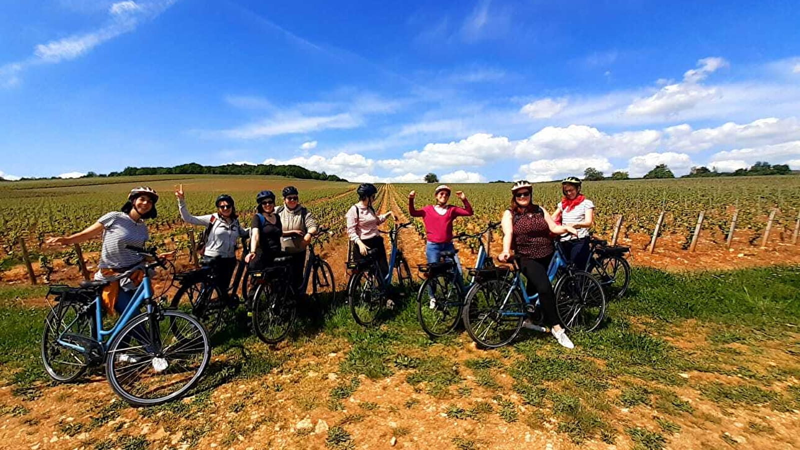 Domaine Ninot (Visite-Dégustation - Bicyclettes au domaine)