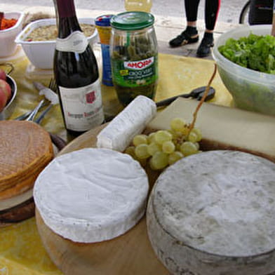 Balade  à vélo -  Auxerre - Escolives - Coulanges 