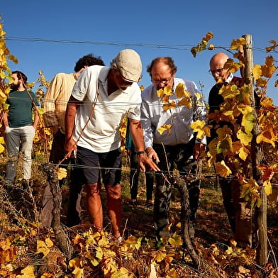 Domaine François et Blandine Rocault – « vis ma vigne » : l’éveil des sens dans les Hautes-Côtes de Beaune