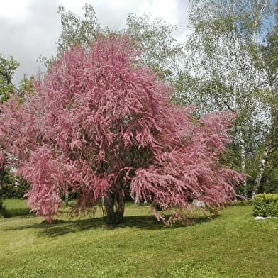 Au grand jardin