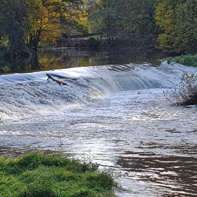 Le Moulin de L'O- L'Orle Nature