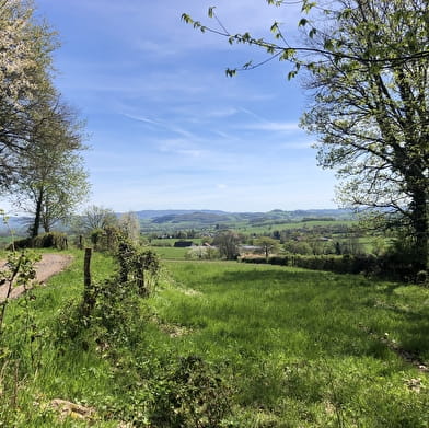 Vers les pâtures du sud Morvan 