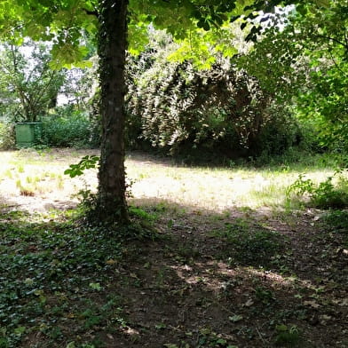 Gîte entre Morvan et Charolais