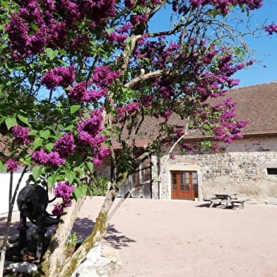 Les Lilas de Saint-Quentin