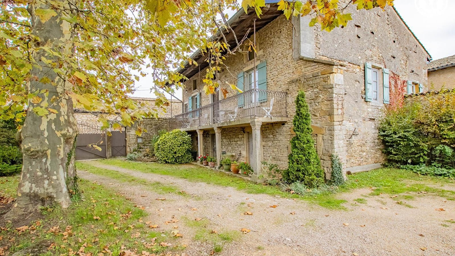 Auprès de mon arbre