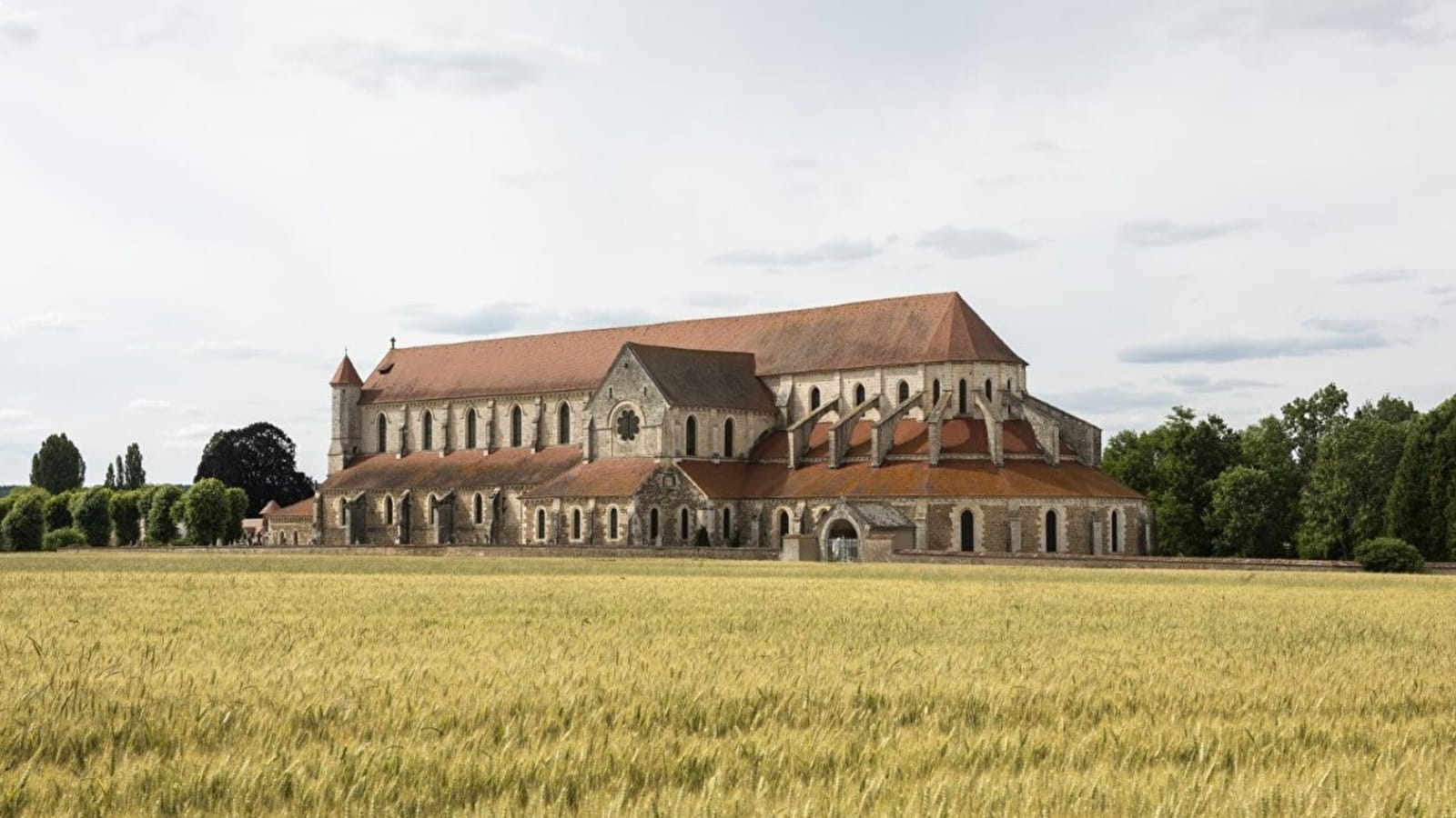 Accueil-boutique et visites de l'Abbaye de Pontigny - SAS La Terre