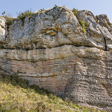 Site d'escalade - La Roche Coche