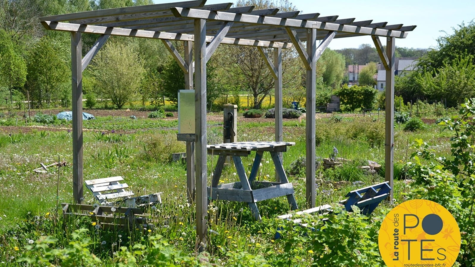 Sur les sentiers de Bretigny : à la découverte de la biodiversité sur un territoire en transition