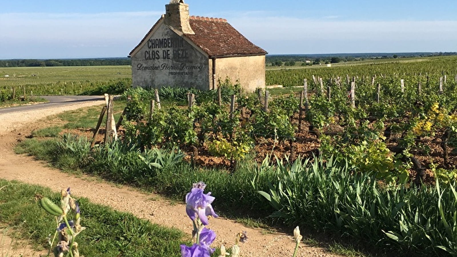 Wine & Tours, Côte de Nuits