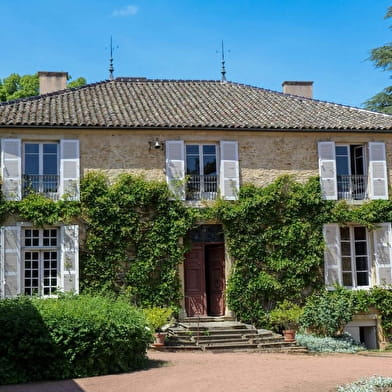 Des vignobles au Val Lamartinien - De Mâcon à Bourgvilain