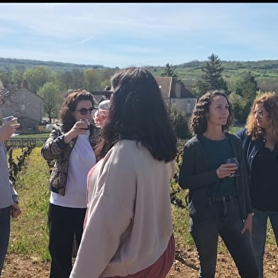 Balade dégustation entre vignes et vins à Meursault