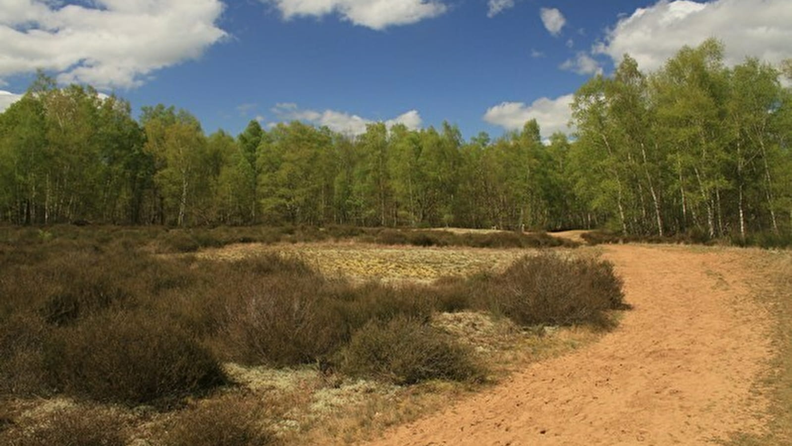 Réserve Naturelle Nationale de La Truchère-Ratenelle