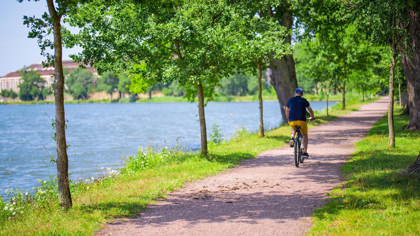 Les berges de l'étang 