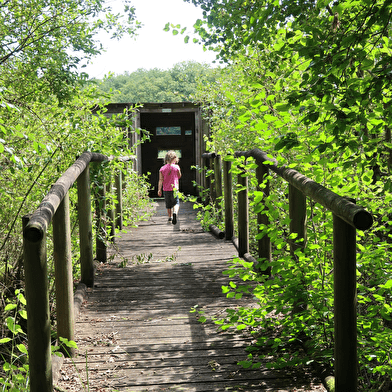 Sentier nature : Le Martin Pêcheur